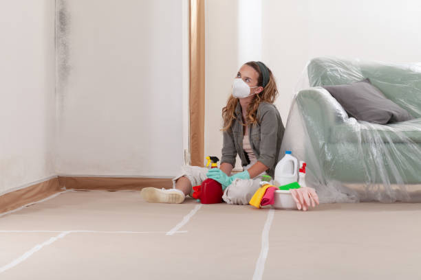 Reliable Mold Remediation contractor in Spring, TX by WQB Mold Removal